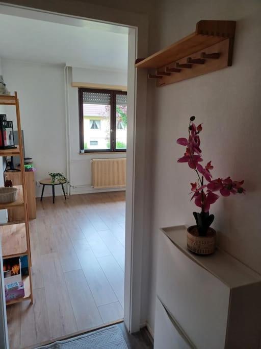 Studio Rdc Calme Avec Parking Ferme Pres Autoroute Et Tram C มูลูส ภายนอก รูปภาพ